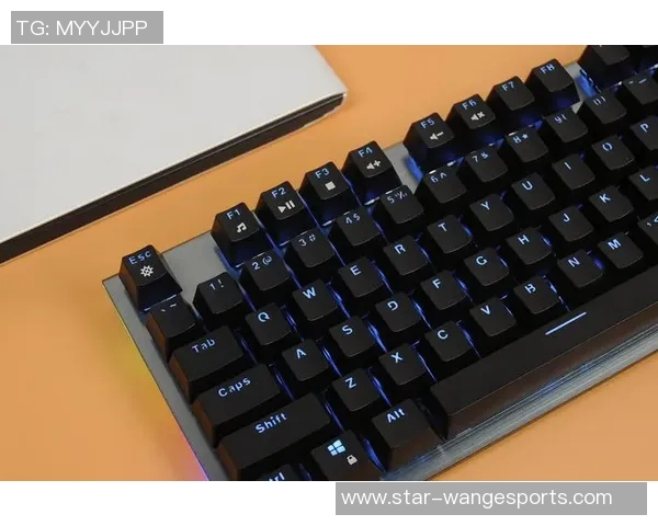 esports数据英雄联盟装备选购指南如何选择适合你的游戏键盘提升操作体验